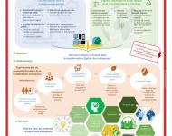 Poster Clothilde de Meulenaere